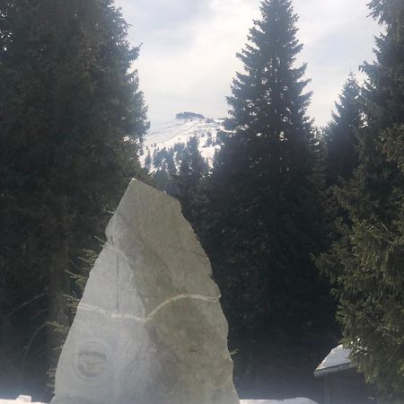 Apartmany U Vleku - Podkrovni Apartman Karlova Studánka Dış mekan fotoğraf