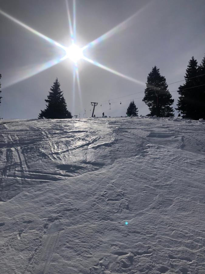Apartmany U Vleku - Podkrovni Apartman Karlova Studánka Dış mekan fotoğraf