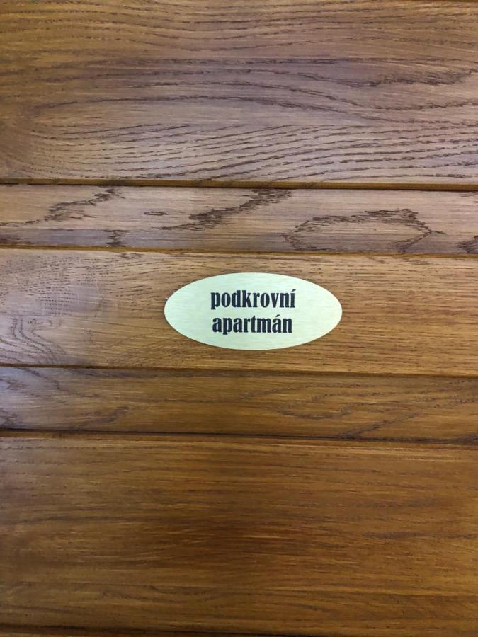Apartmany U Vleku - Podkrovni Apartman Karlova Studánka Dış mekan fotoğraf